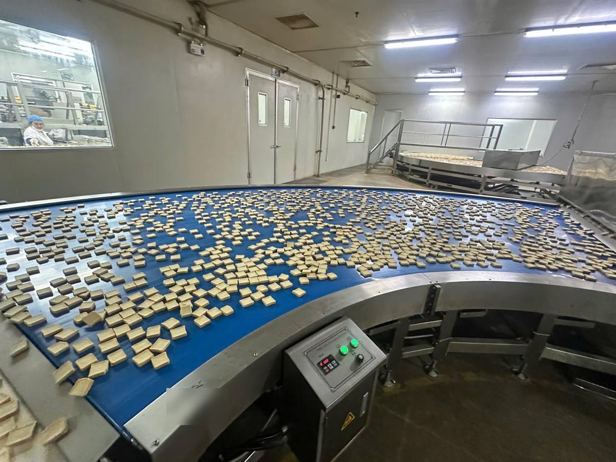 Băng tải cong PU xanh tại nhà máy bánh