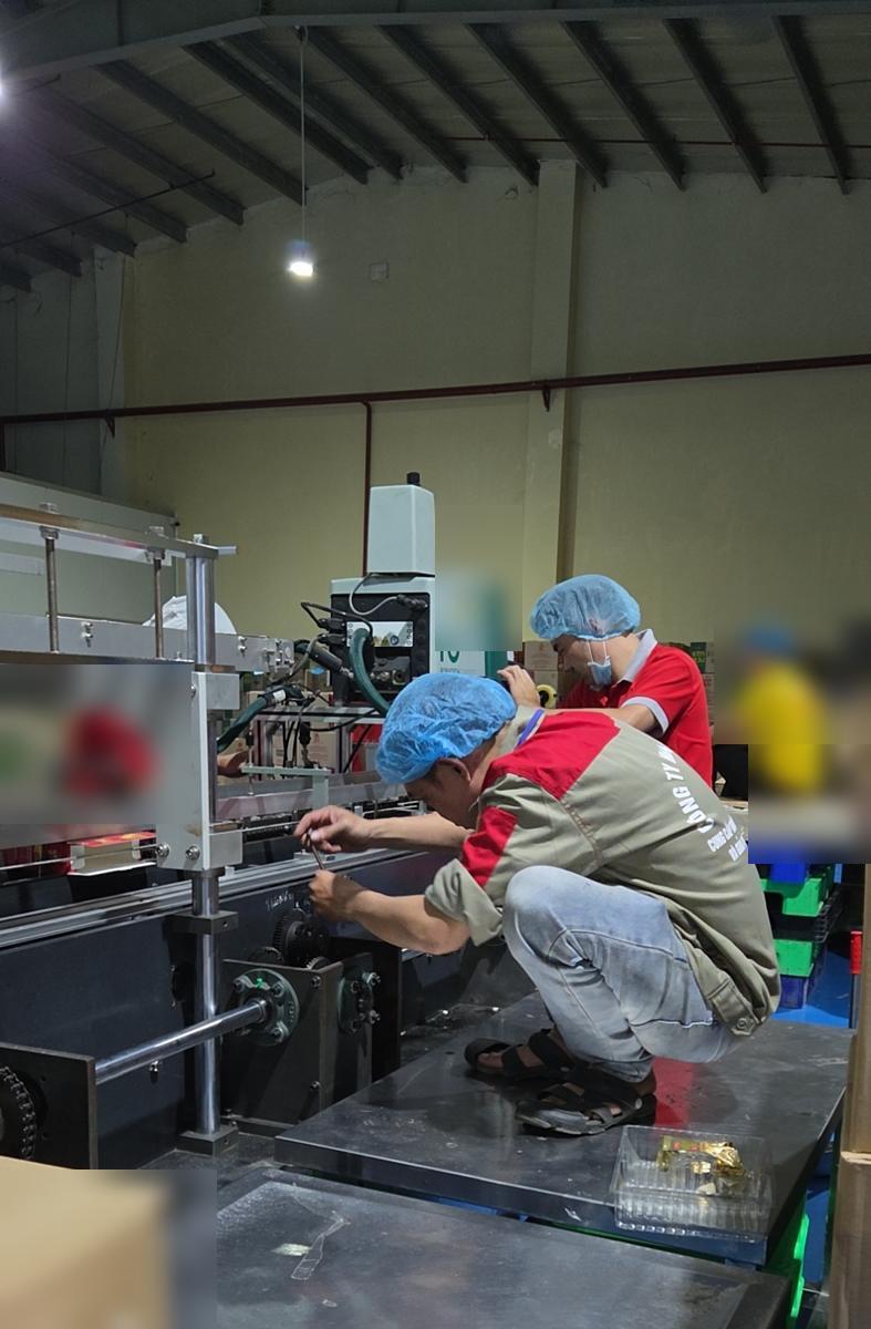 Căn chỉnh máy đóng hộp bánh quy